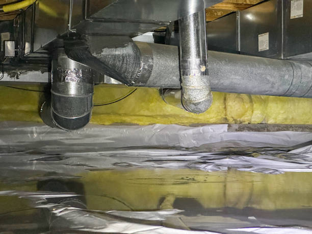Best Dehumidification and Moisture Control in Chesterbrook, PA